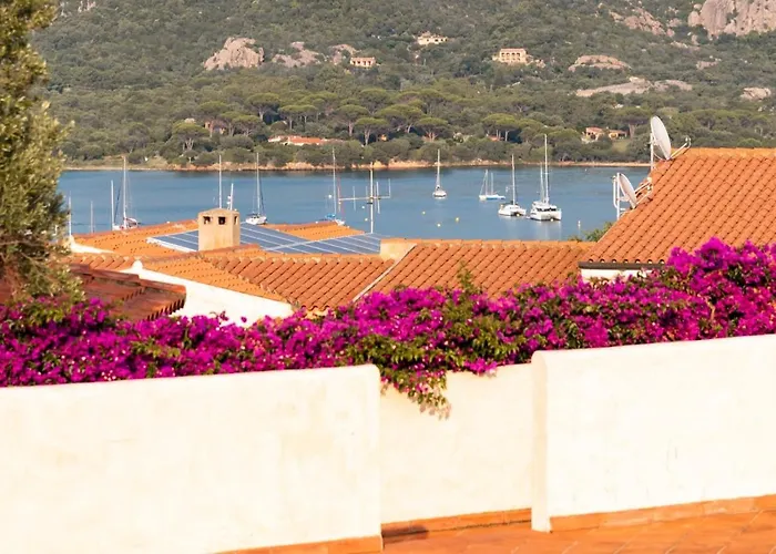 Apartamento Trilocale Con Piscina Arzachena