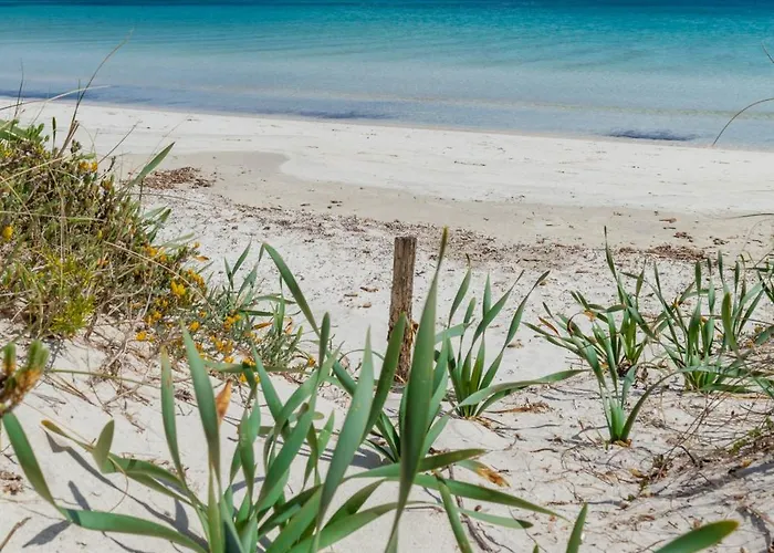 Trilocale Con Piscina Апартаменты *